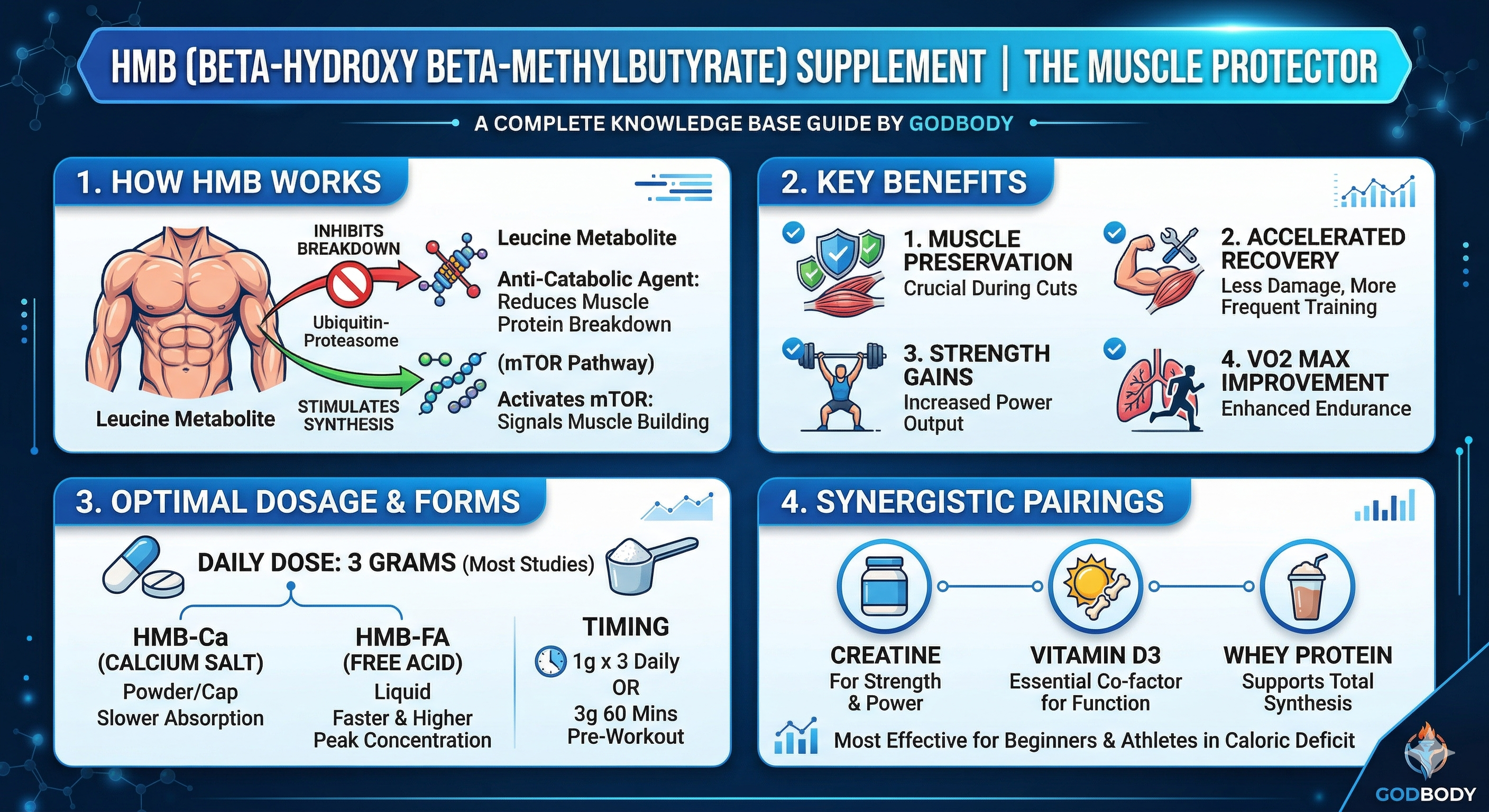 muscle recovery, prevent muscle wasting, cutting phase supplements, strength gains, protein synthesis, mTOR activation