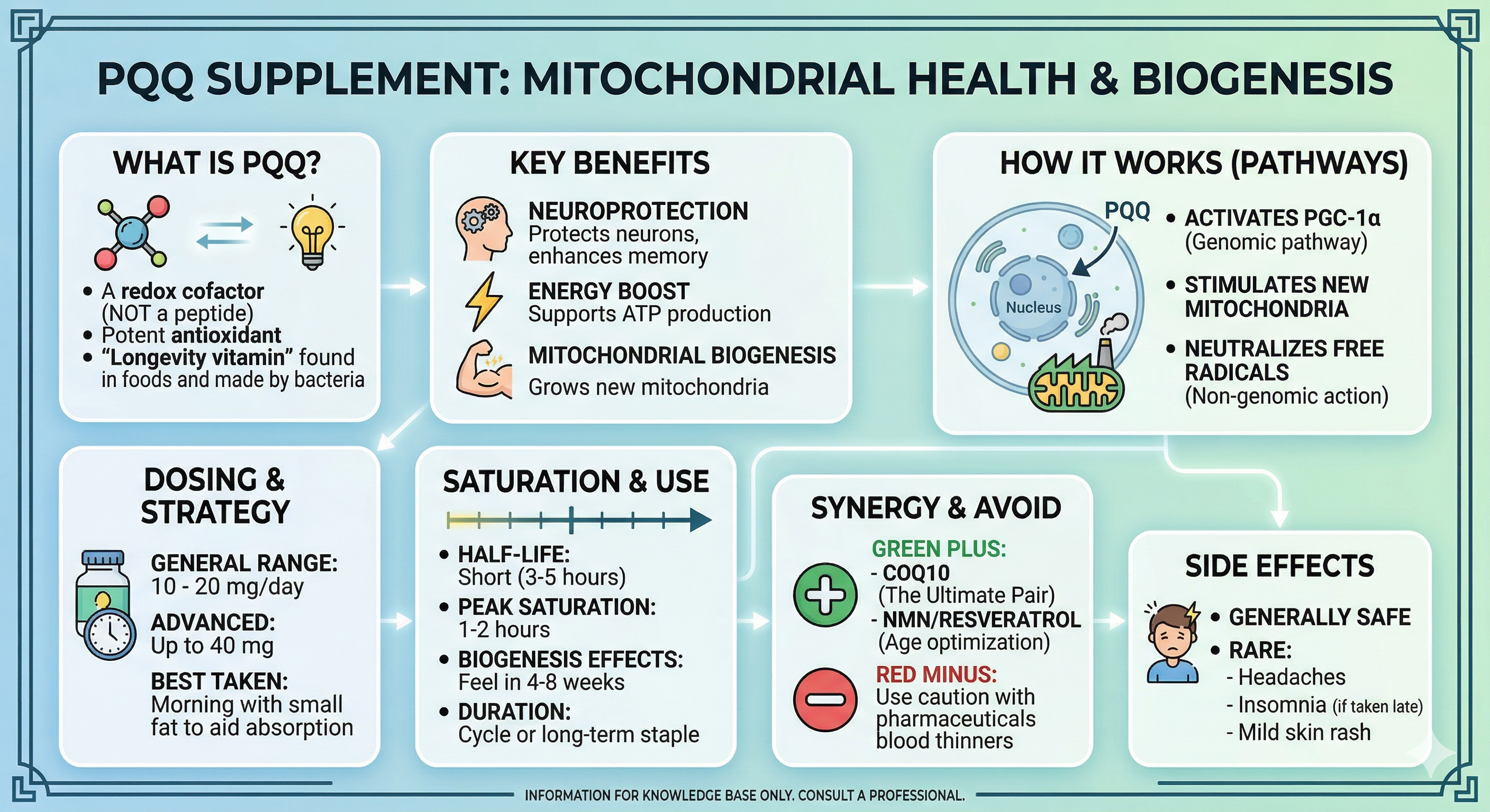 PQQ Pyrroloquinoline Quinone Mitochondrial Biogenesis Longevity Supplements Cellular Energy Brain Health