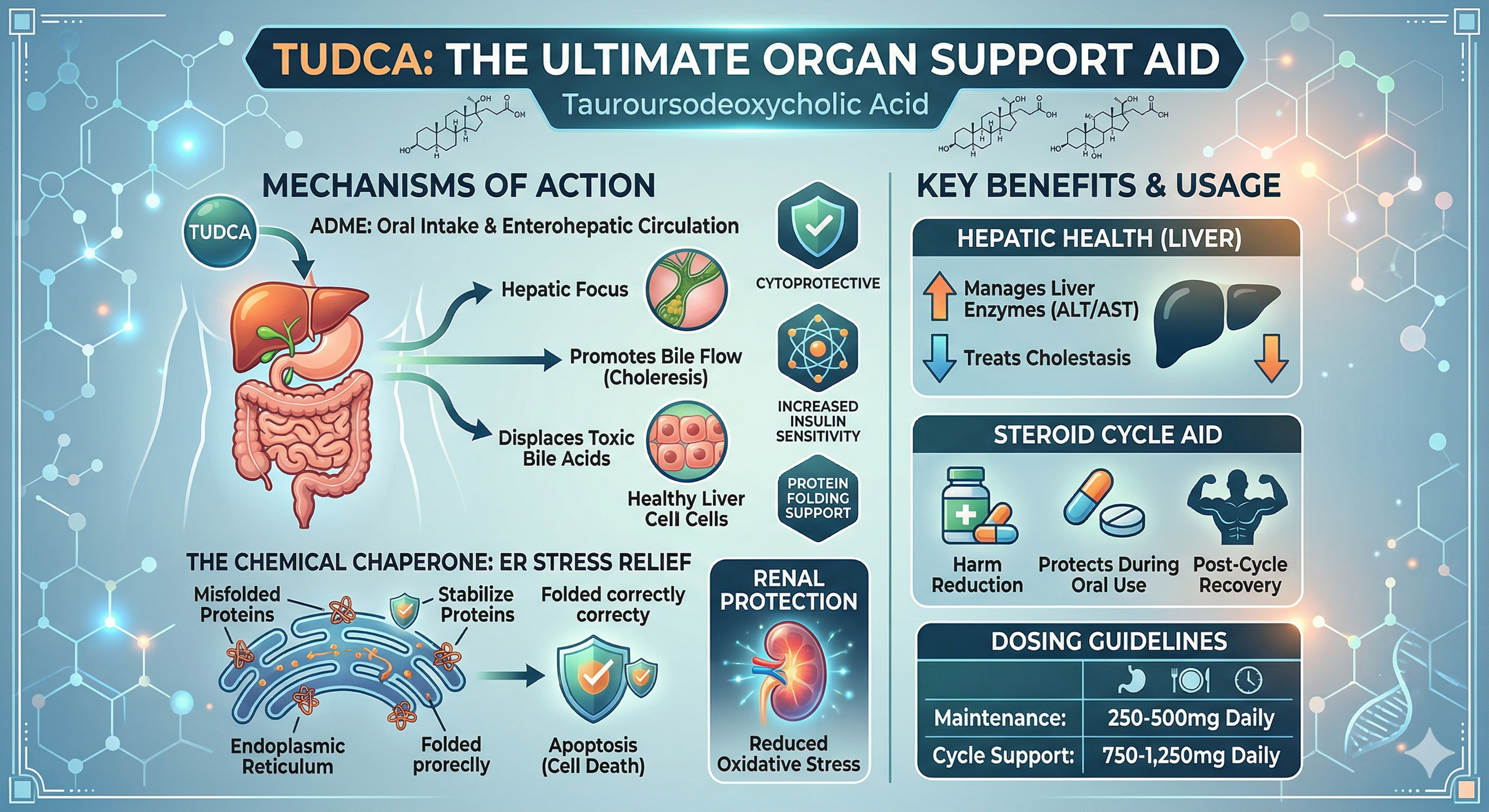 TUDCA Supplement Liver Support Bile Acid Therapy Hepatic Health Kidney Protection Harm Reduction
